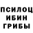 Псилоцибиновые грибы Psilocybine cubensis DANIAL minecrafter