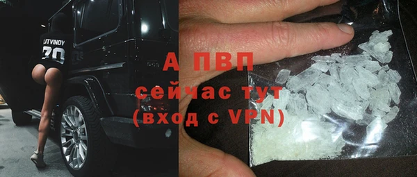 СК Инта