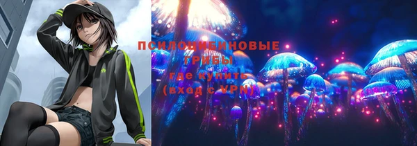 СК Инта
