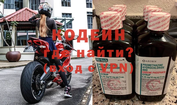 СК Инта