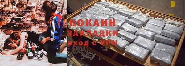 индика Михайловка