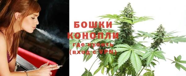 СК Зерноград