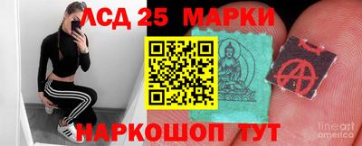 шишки Можайск