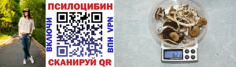 Галлюциногенные грибы мухоморы  магазин  наркотиков  kraken ONION  Соль-Илецк 