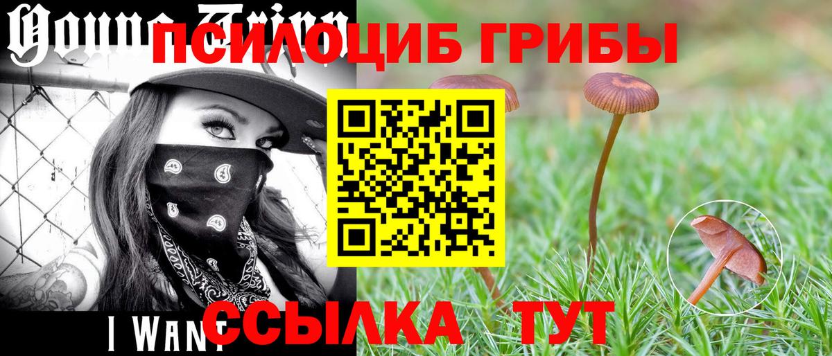 Псилоцибиновые грибы Magic Shrooms  Вход с VPN  даркнет сайт  Соль-Илецк 