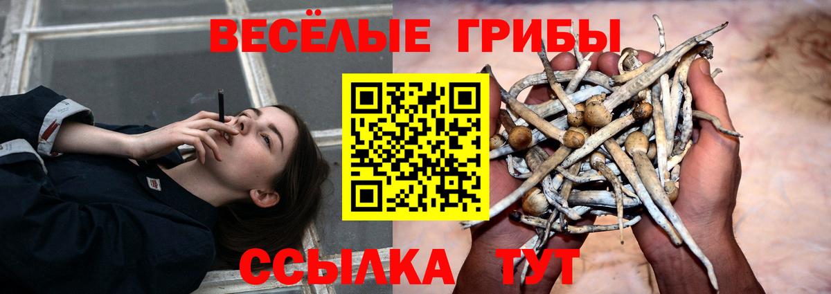 Галлюциногенные грибы GOLDEN TEACHER Соль-Илецк